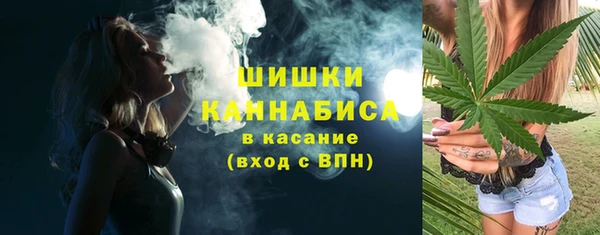 индика Аркадак
