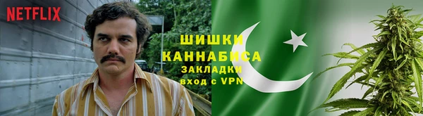 амф Арсеньев