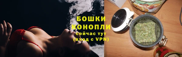 амф Арсеньев