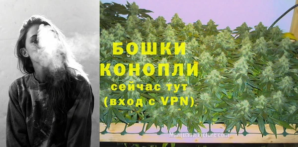 амф Арсеньев