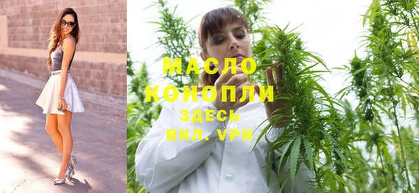 индика Аркадак