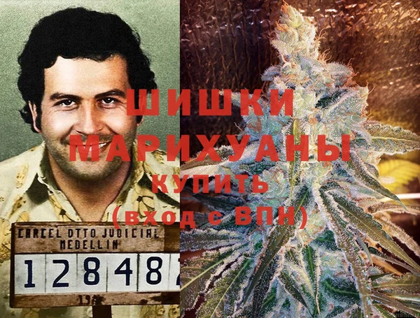 амф Арсеньев
