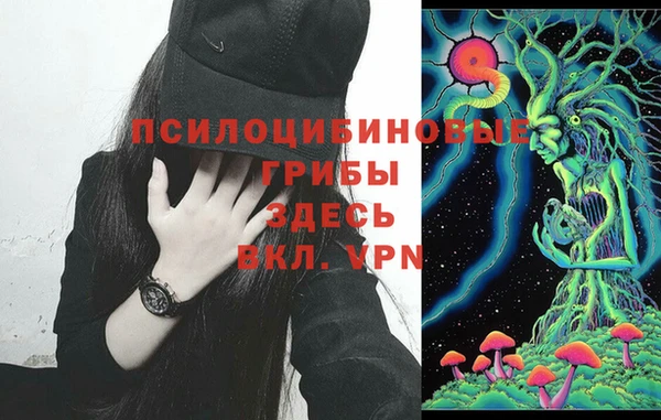 индика Аркадак