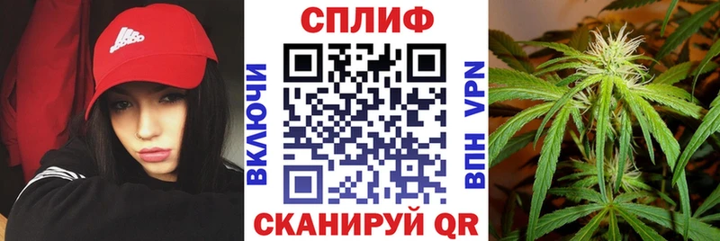 Каннабис SATIVA & INDICA  Реж 